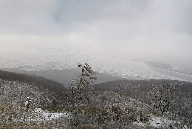 Регулярно бывая в зоне СВО